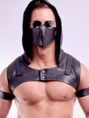 Harness